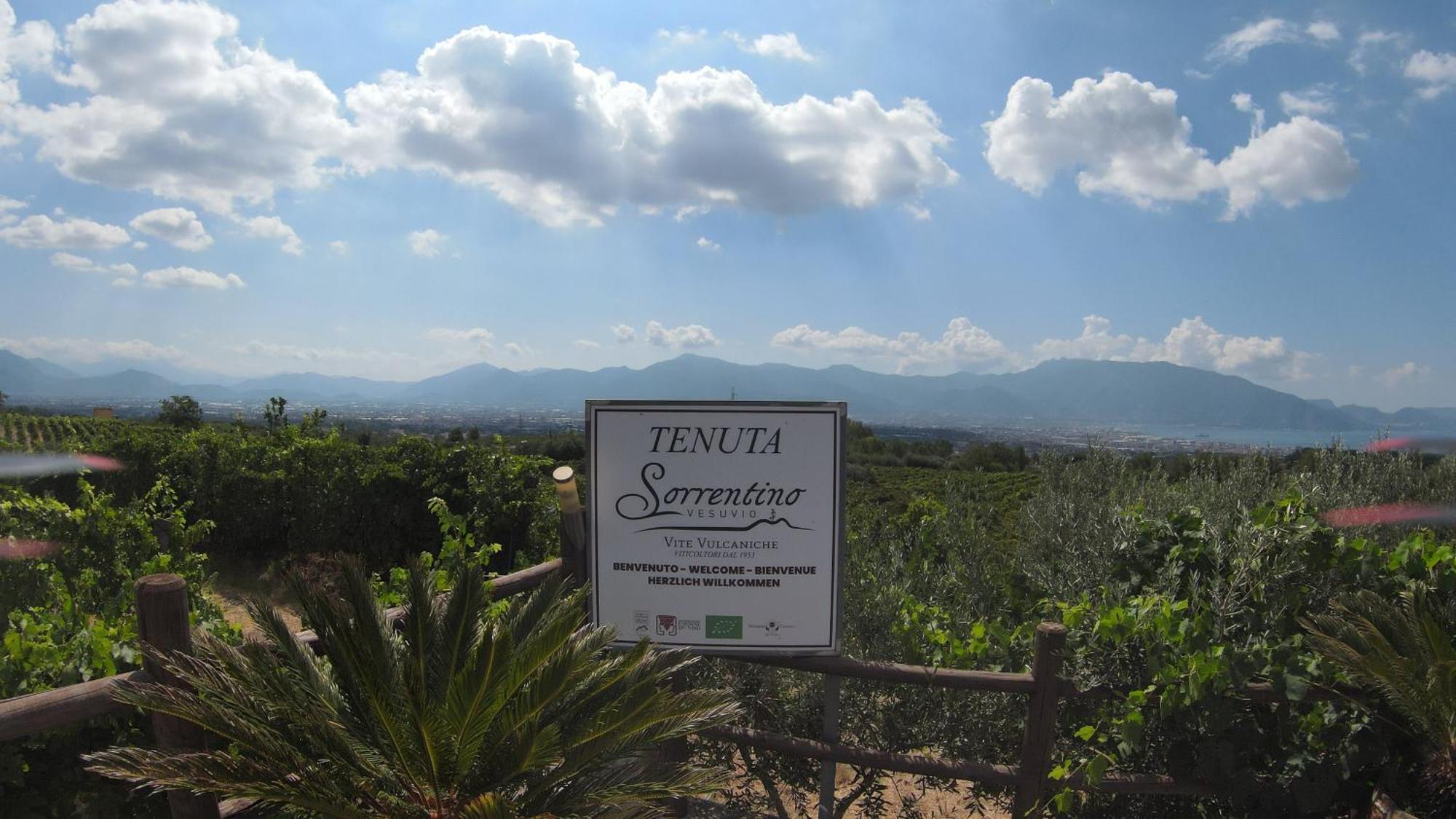 Vesuvio Inn Bed & Wine Experience Boscotrecase ภายนอก รูปภาพ