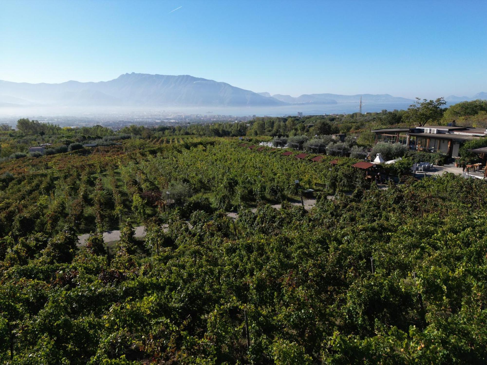 Vesuvio Inn Bed & Wine Experience Boscotrecase ภายนอก รูปภาพ