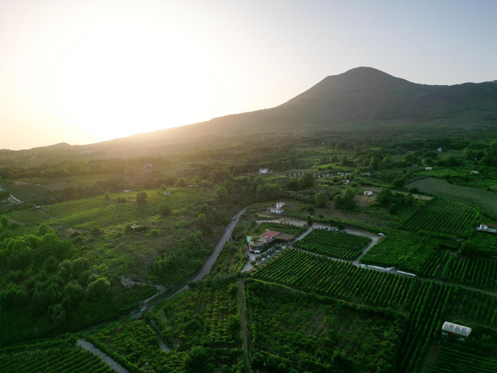 Vesuvio Inn Bed & Wine Experience Boscotrecase ภายนอก รูปภาพ