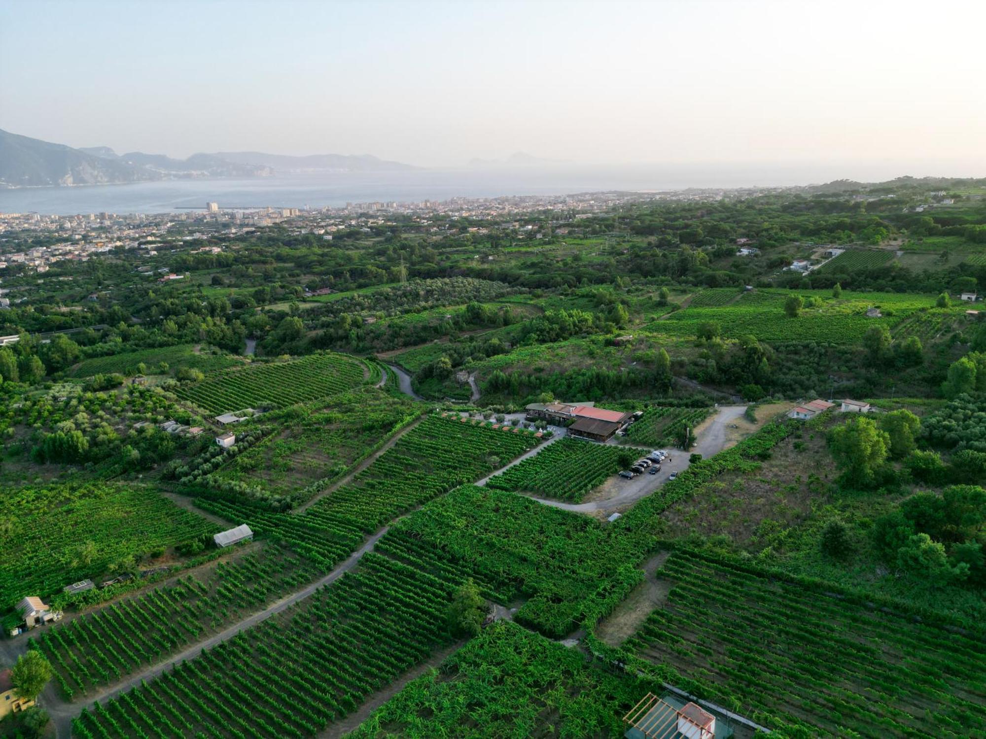 Vesuvio Inn Bed & Wine Experience Boscotrecase ภายนอก รูปภาพ