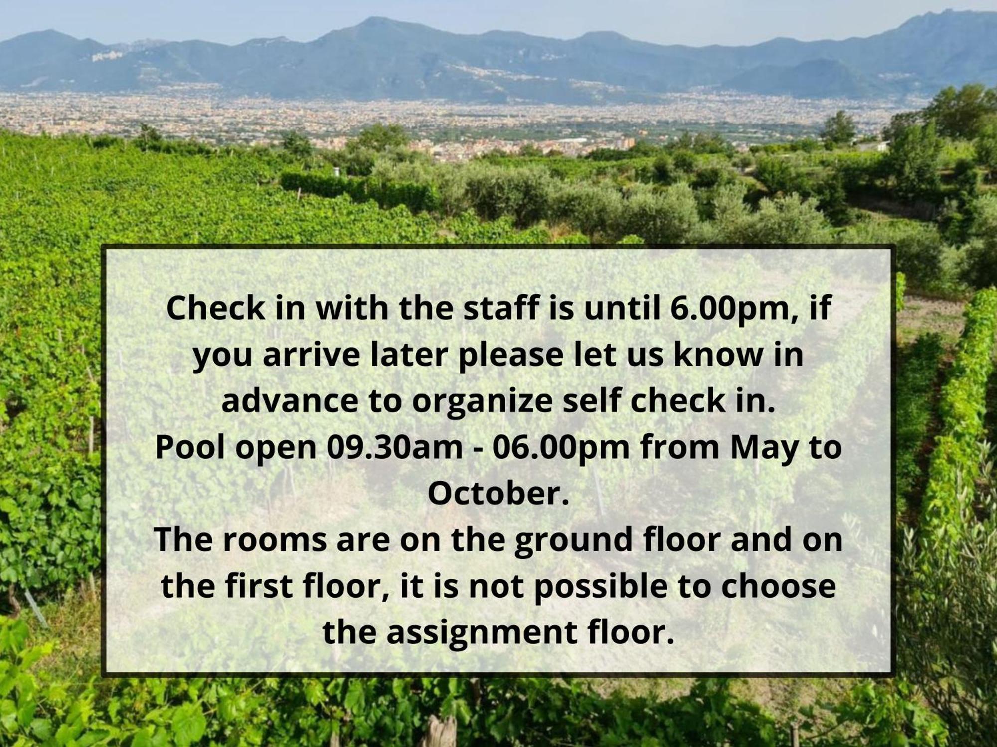Vesuvio Inn Bed & Wine Experience Boscotrecase ภายนอก รูปภาพ