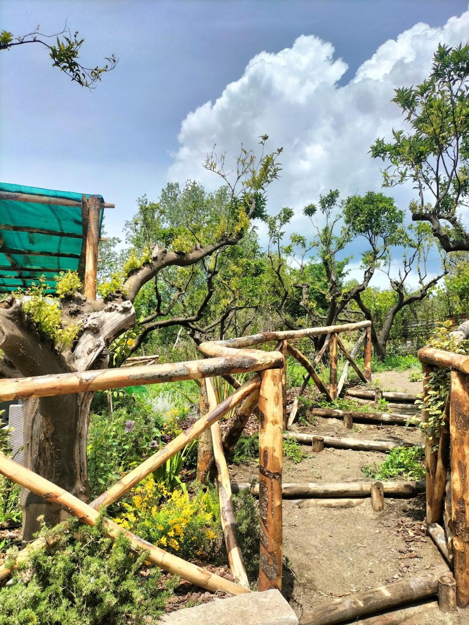 Vesuvio Inn Bed & Wine Experience Boscotrecase ภายนอก รูปภาพ