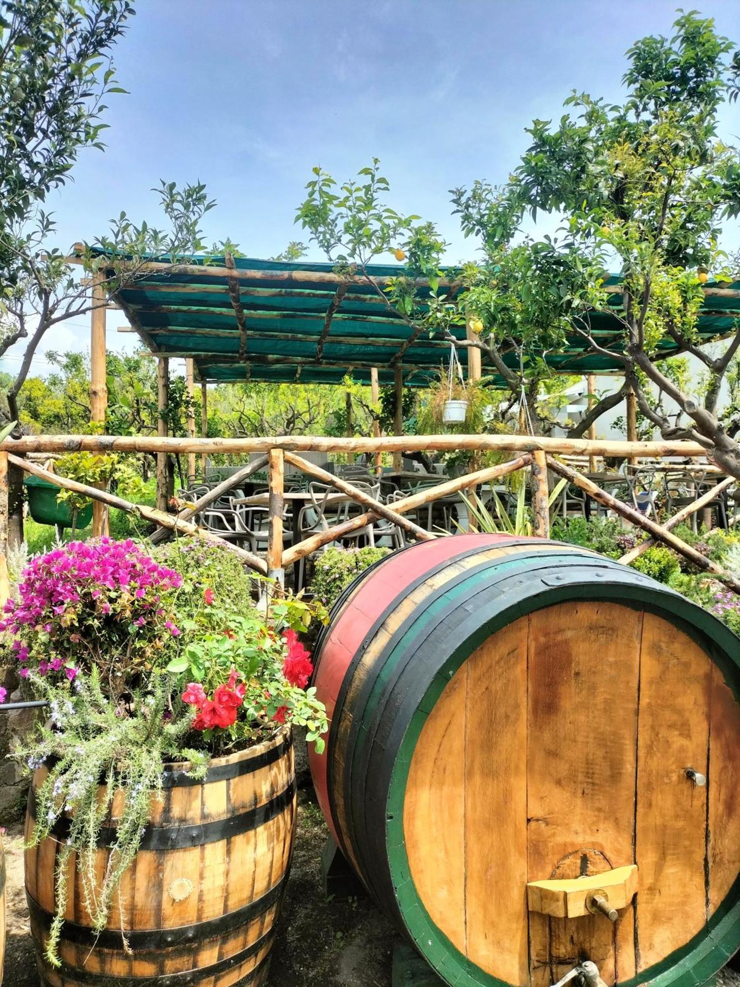 Vesuvio Inn Bed & Wine Experience Boscotrecase ภายนอก รูปภาพ