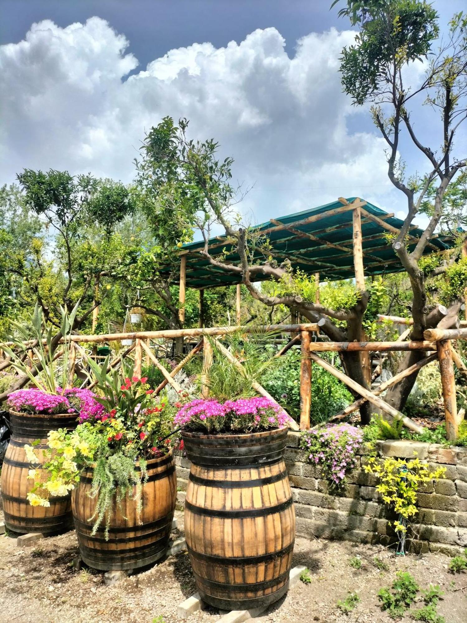 Vesuvio Inn Bed & Wine Experience Boscotrecase ภายนอก รูปภาพ